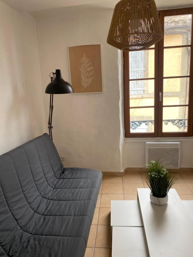 Carcassonne Situe Plein Centre Διαμέρισμα Εξωτερικό φωτογραφία